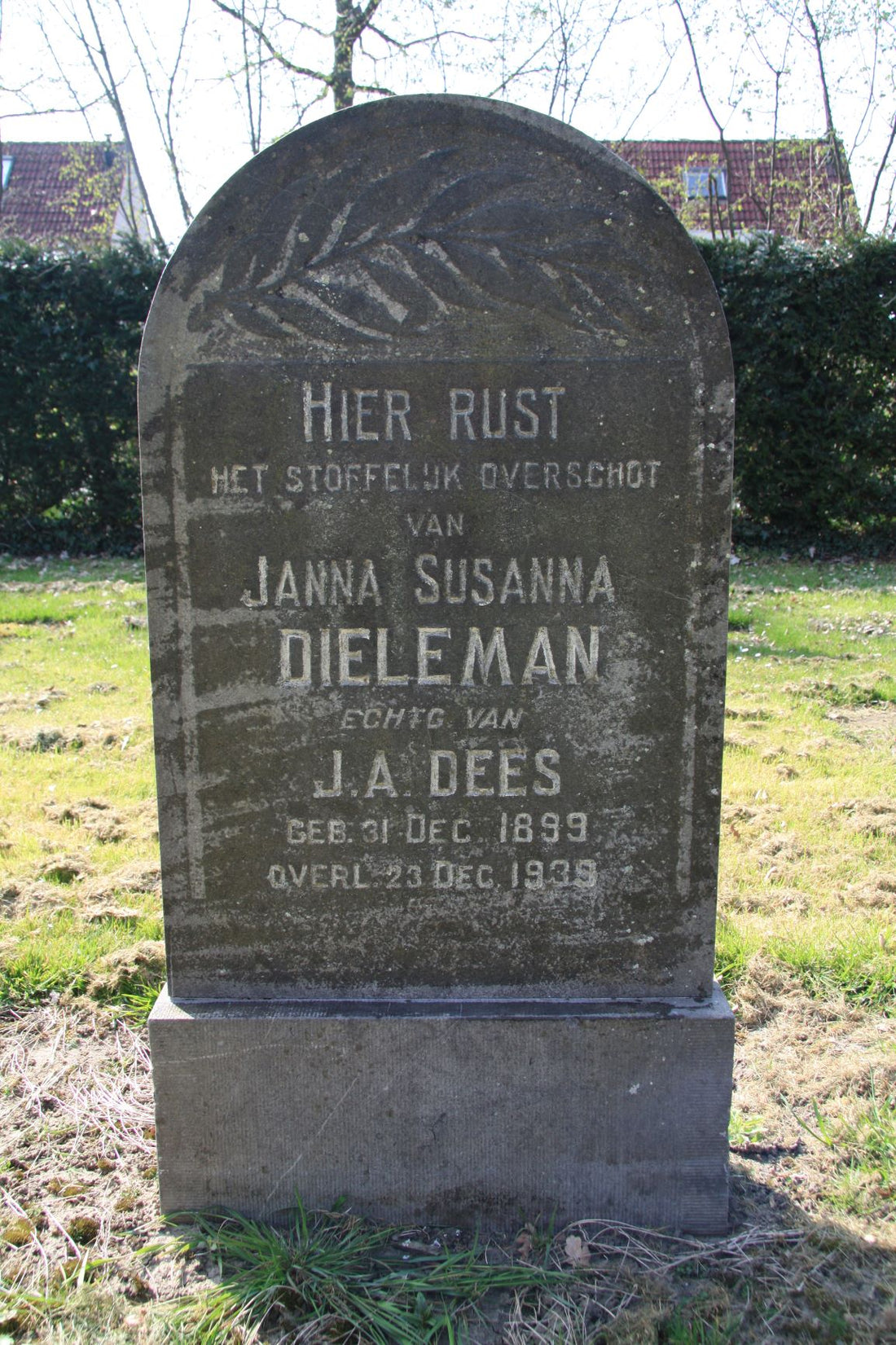 Het graf van Janna Susanna Dieleman