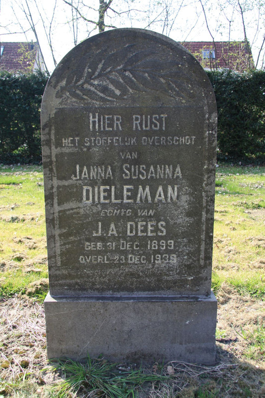 Het graf van Janna Susanna Dieleman