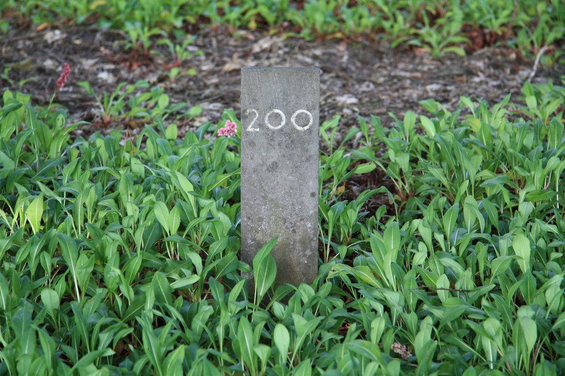Het graf van Jacob Johannes IJsebaart