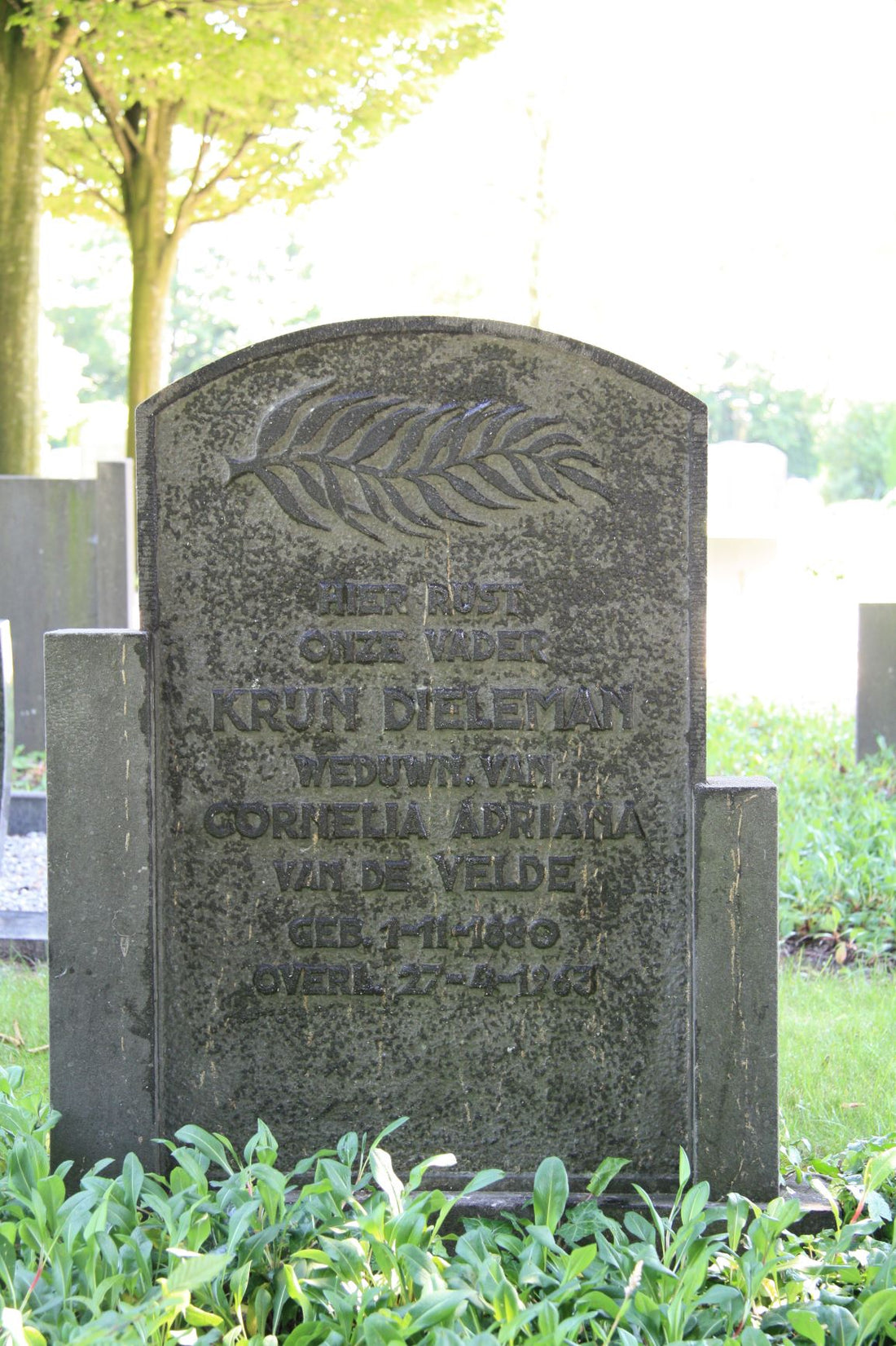 Het graf van Krijn Dieleman