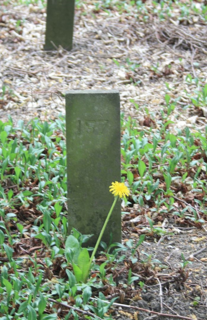 Het graf van Adriaan van Alten