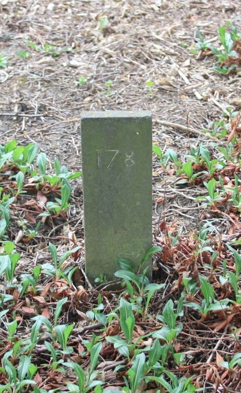 Het graf van Hebrina Dieleman