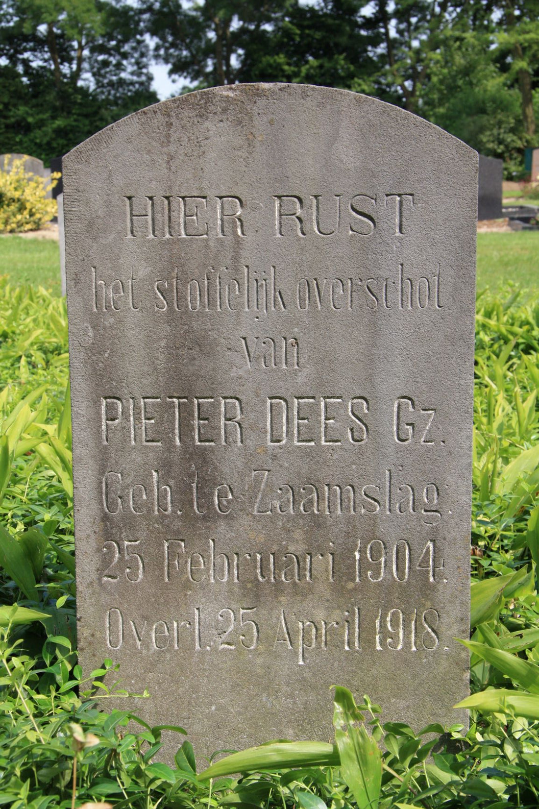 Het graf van Pieter Dees