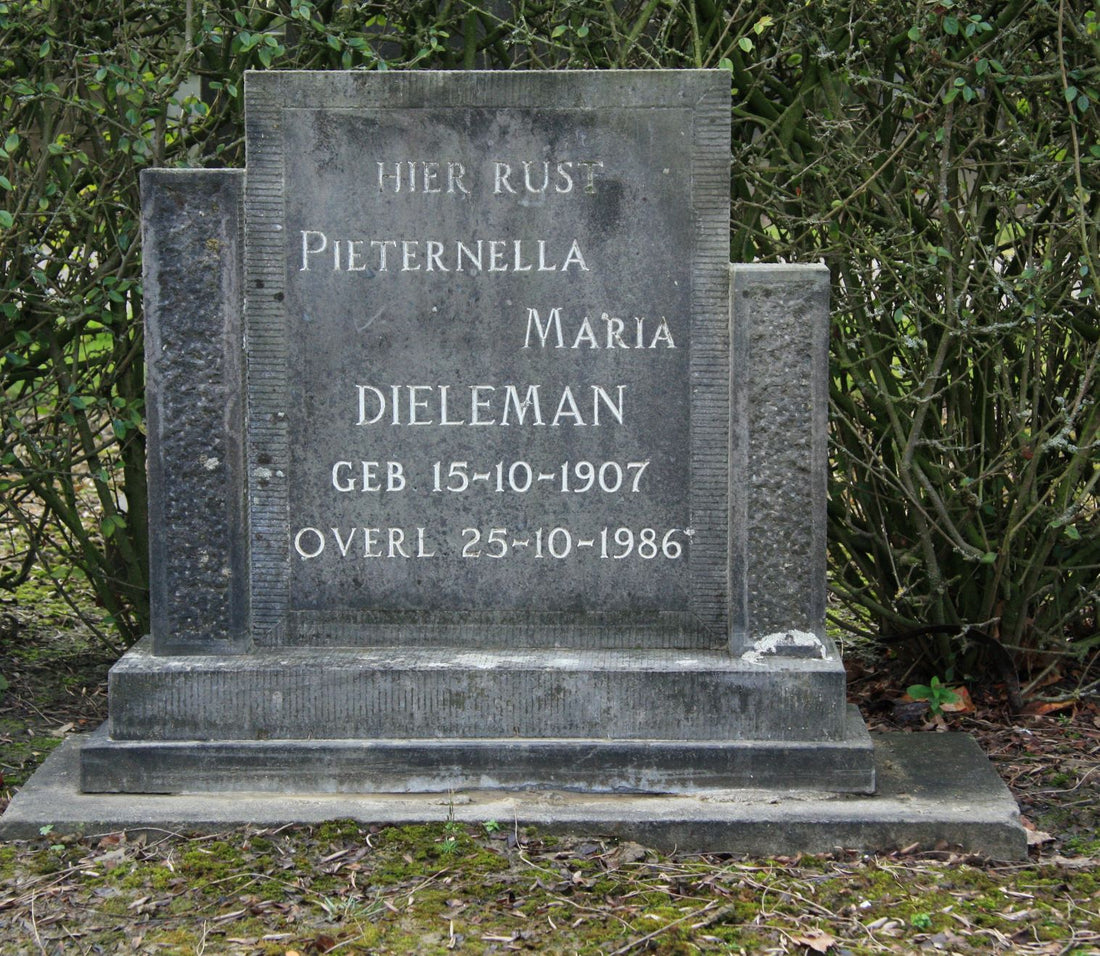 Het graf van Pieternella Maria Dieleman