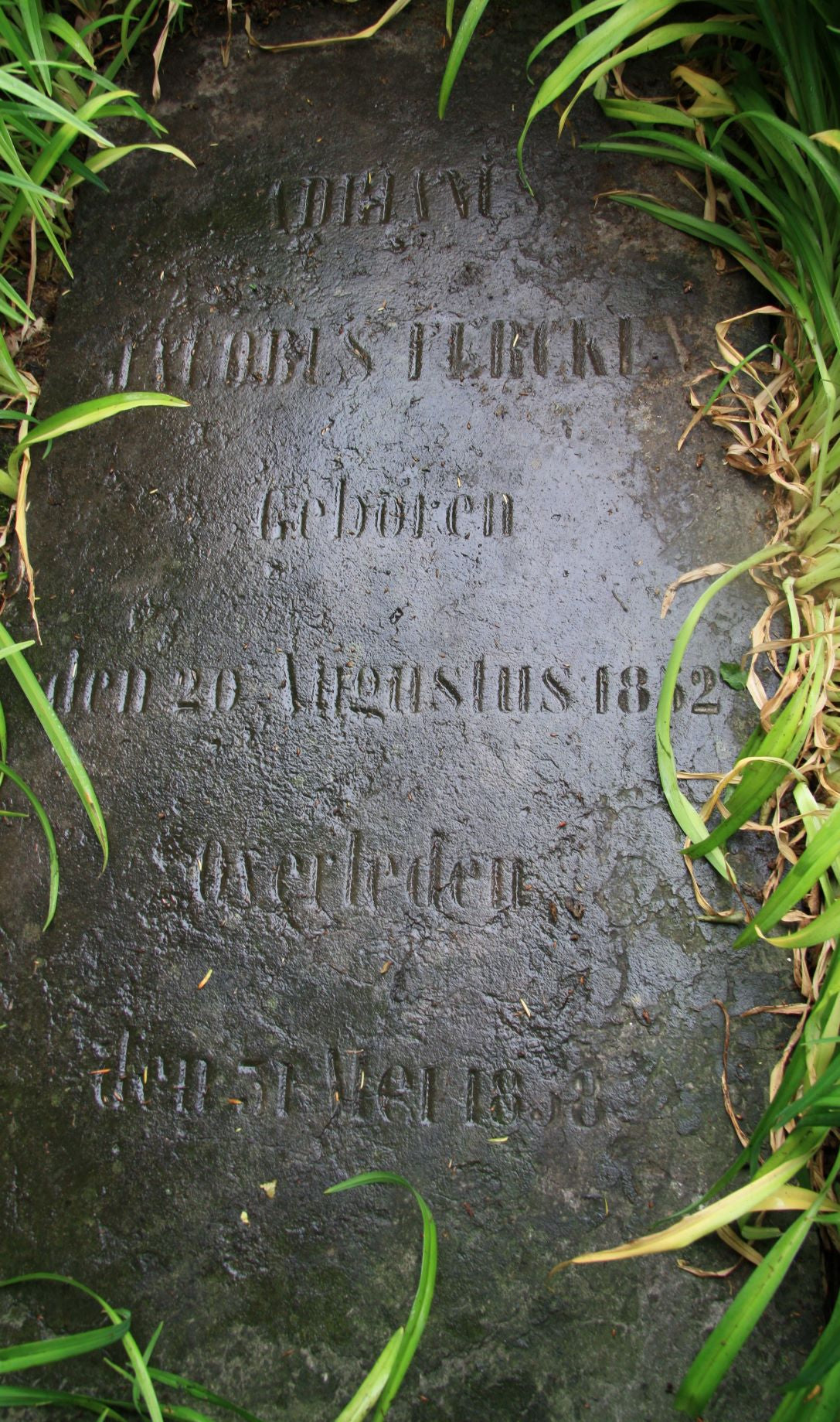 Het graf van Adrianus Jacobus Fercken
