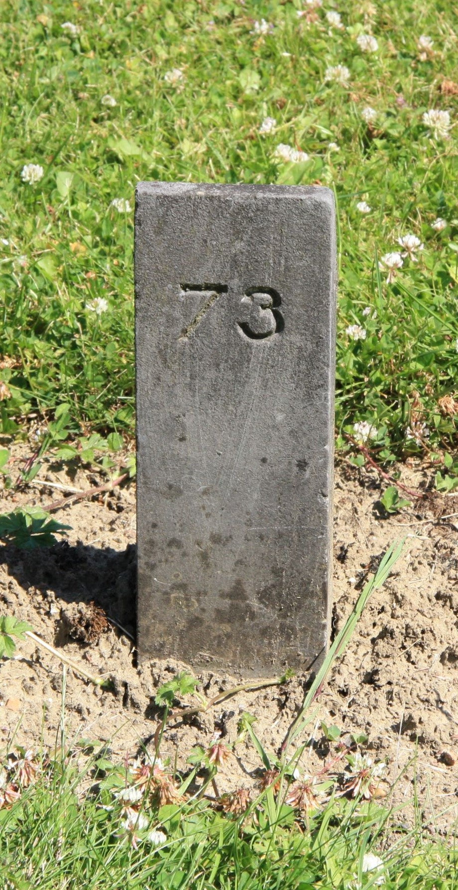 Het graf van Marinus Leunis
