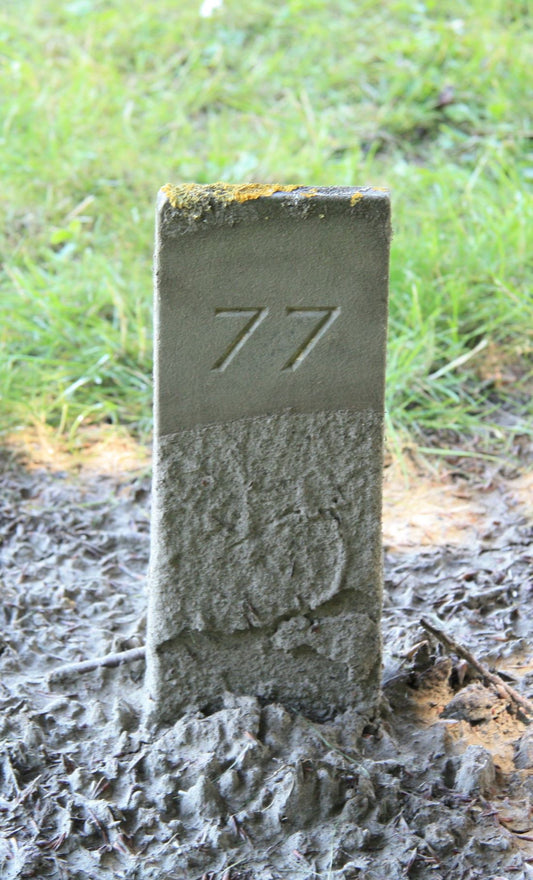 Het graf van Elizabeth Hamelink