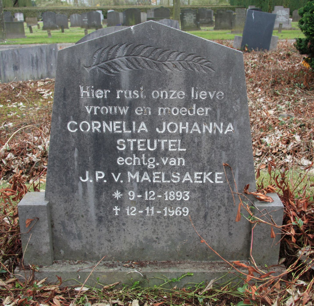 Het graf van Cornelia Johanna Steutel