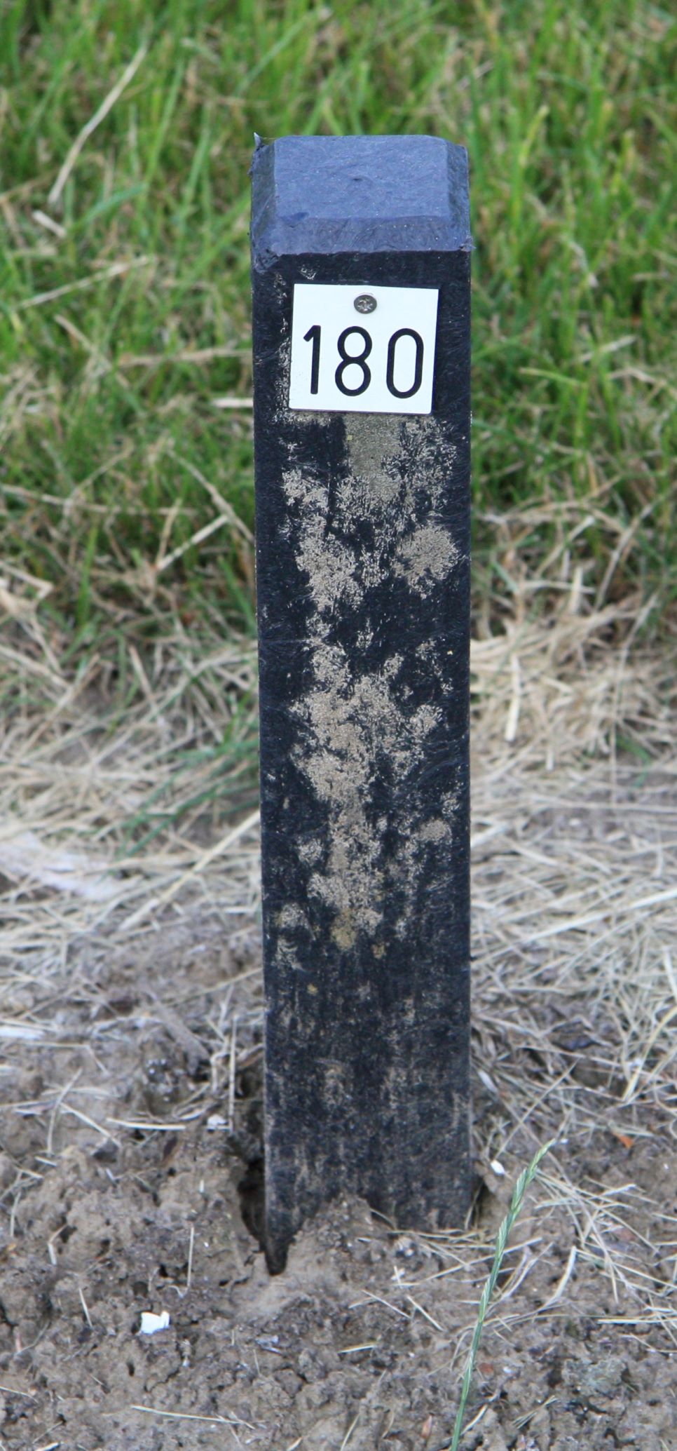 Het graf van Magdalena van de Wege