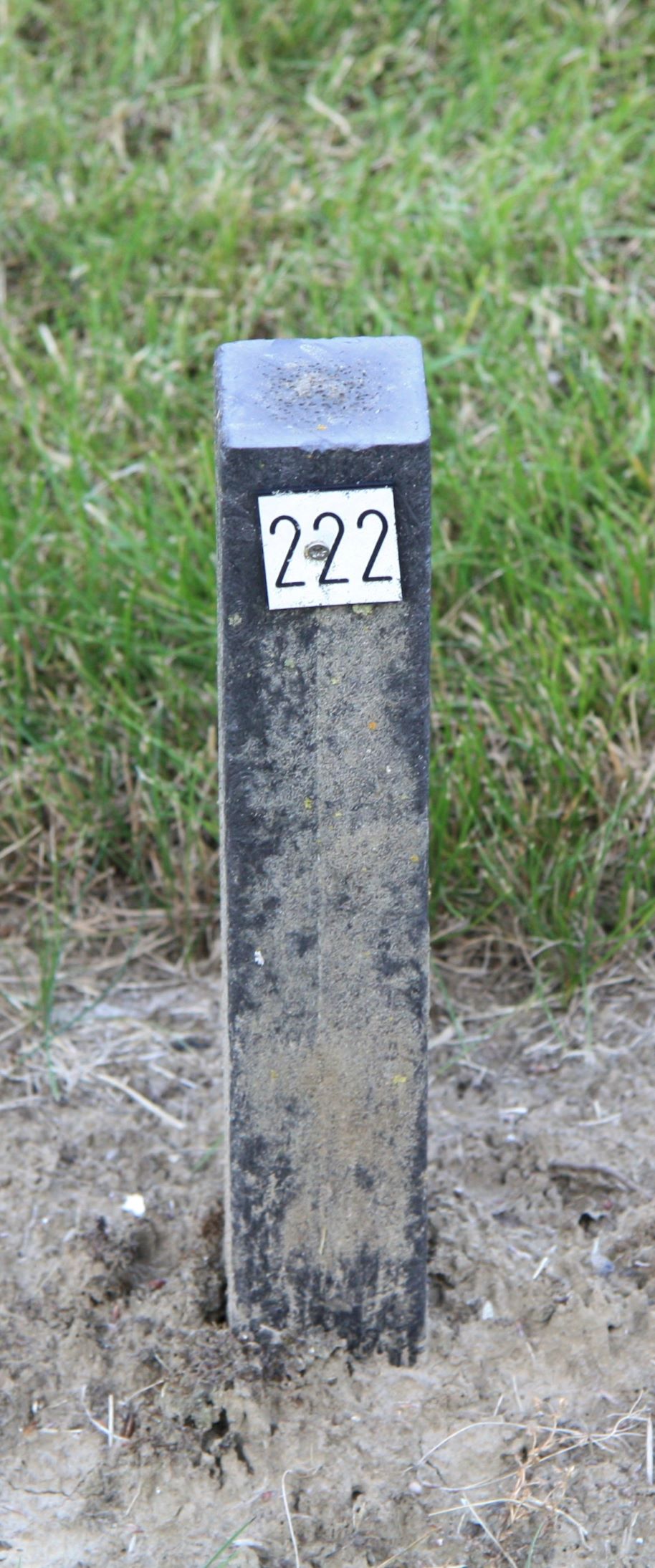 Het graf van Levinus Willemsen