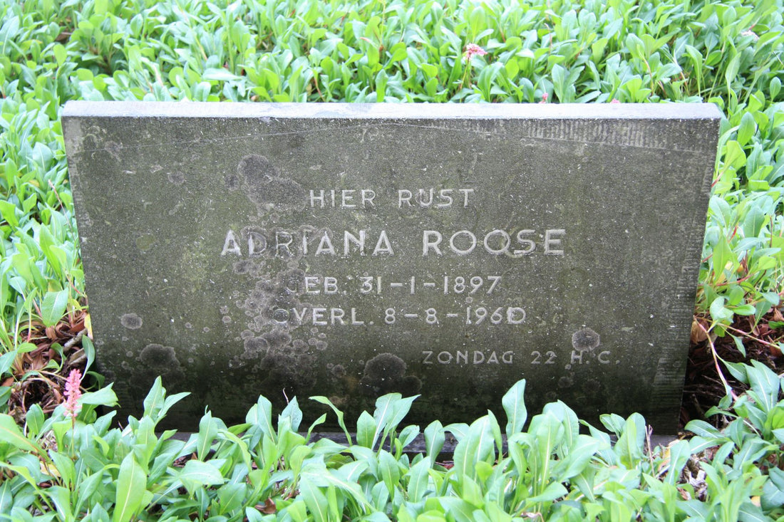 Het graf van Adriana Roose