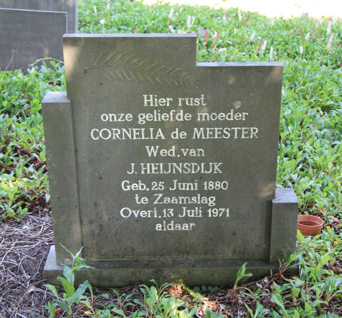 Het graf van Cornelia de Meester
