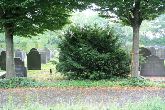 Het graf van Jacomintje Maria Dieleman