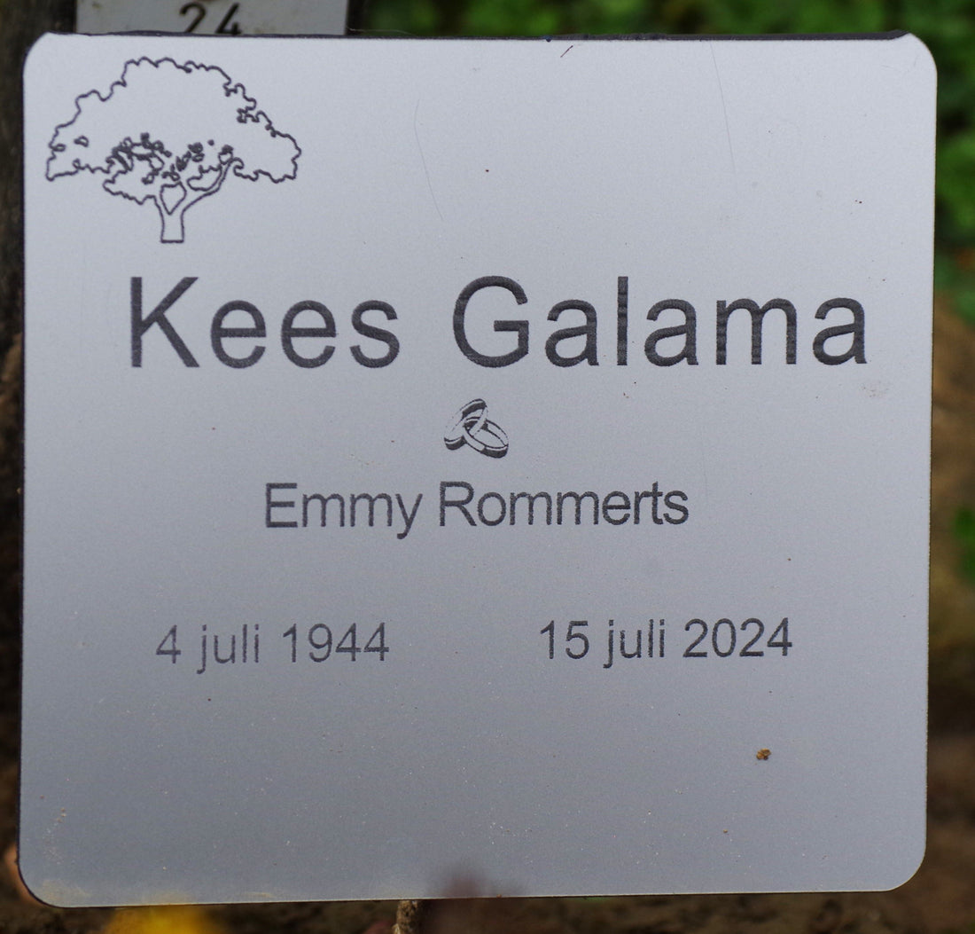 Het graf van Kees Galama