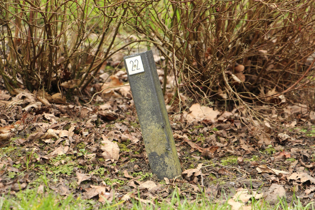 Het graf van Jacoba Sara van der Hooft