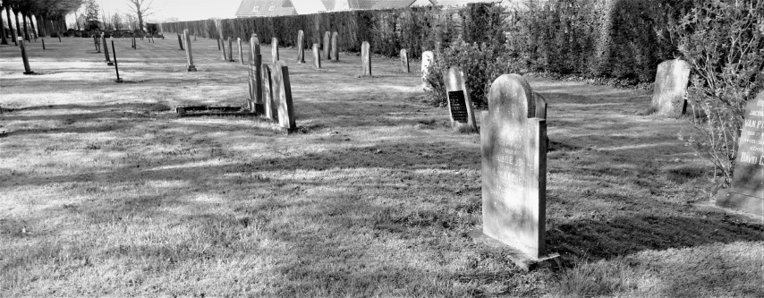 Afb. 8 Het oude gedeelte van de begraafplaats