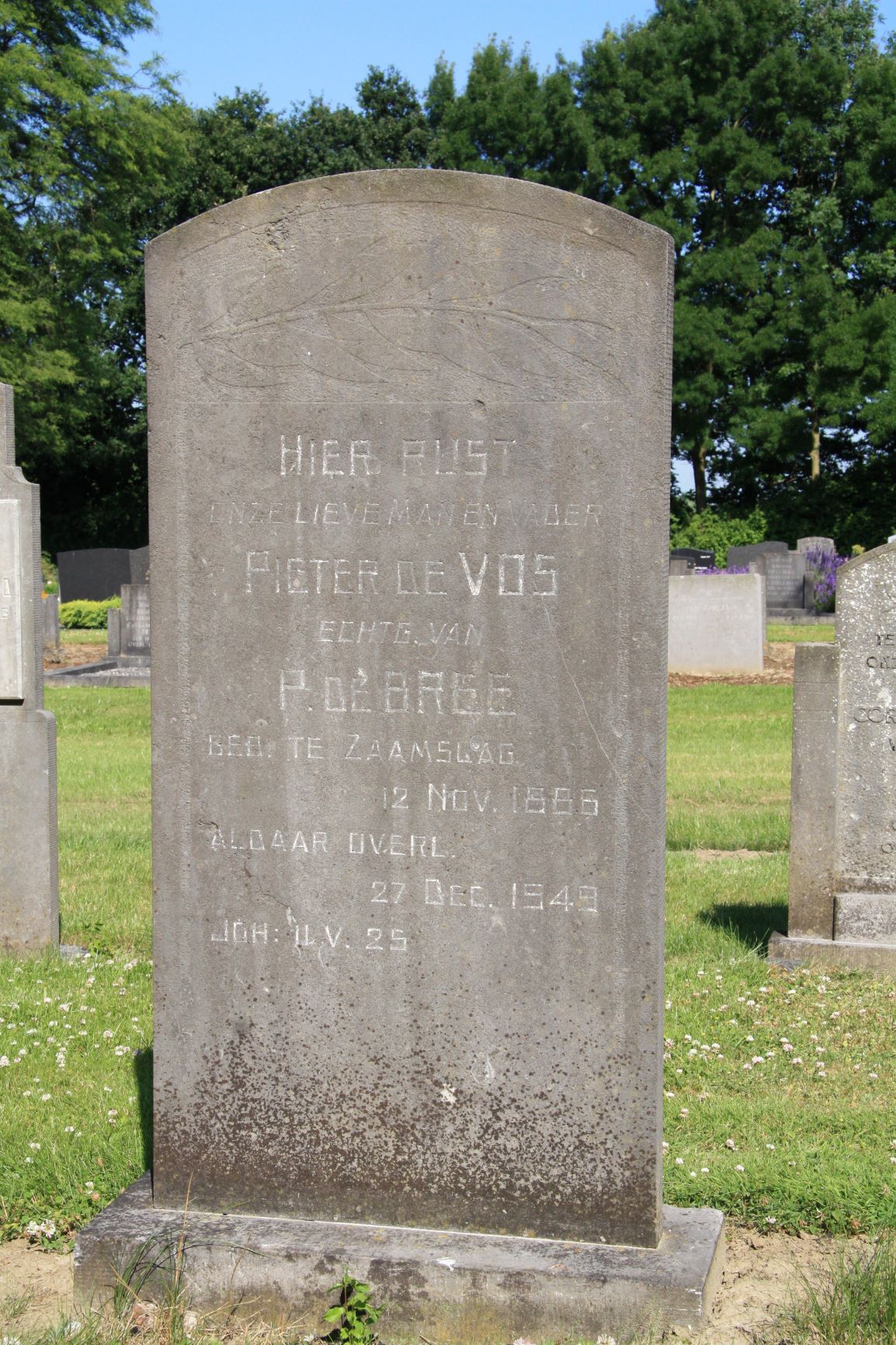 Pieter de Vos