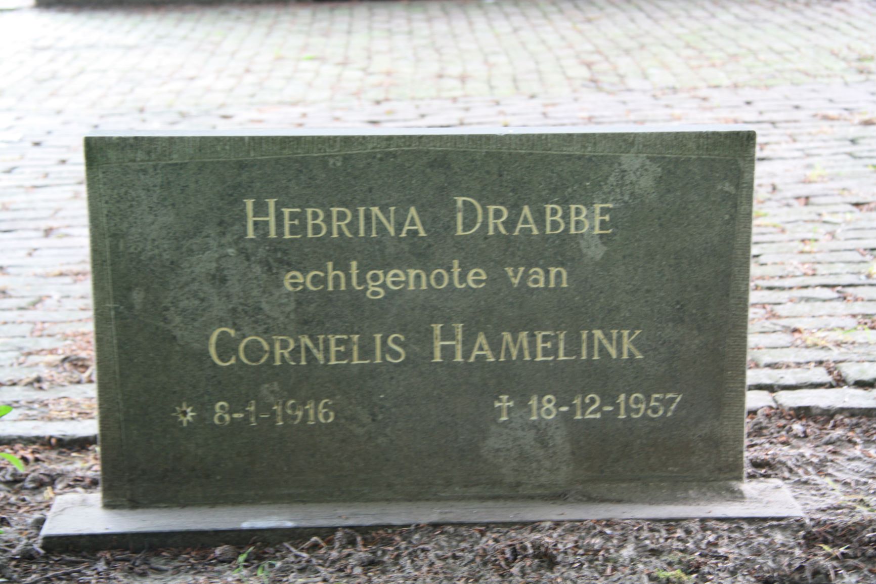 Hebrina Drabbe