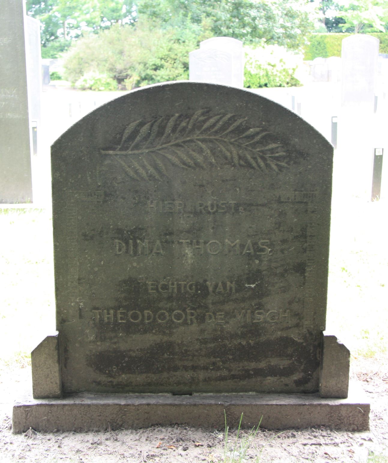 Dina Thomas