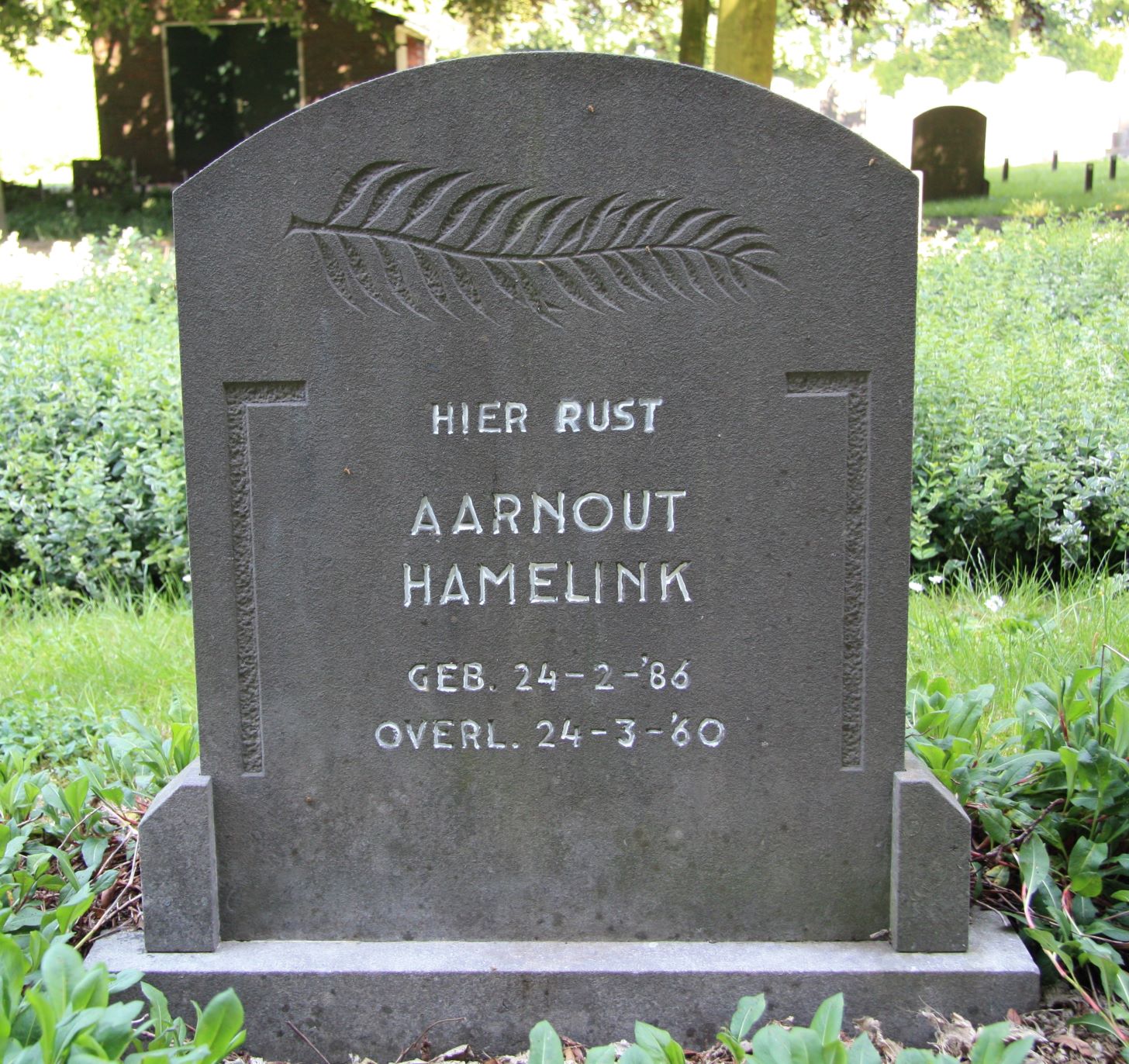 Aarnout Hamelink