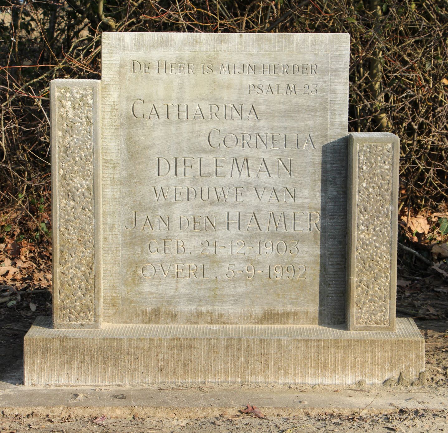 Catharina Cornelia Dieleman