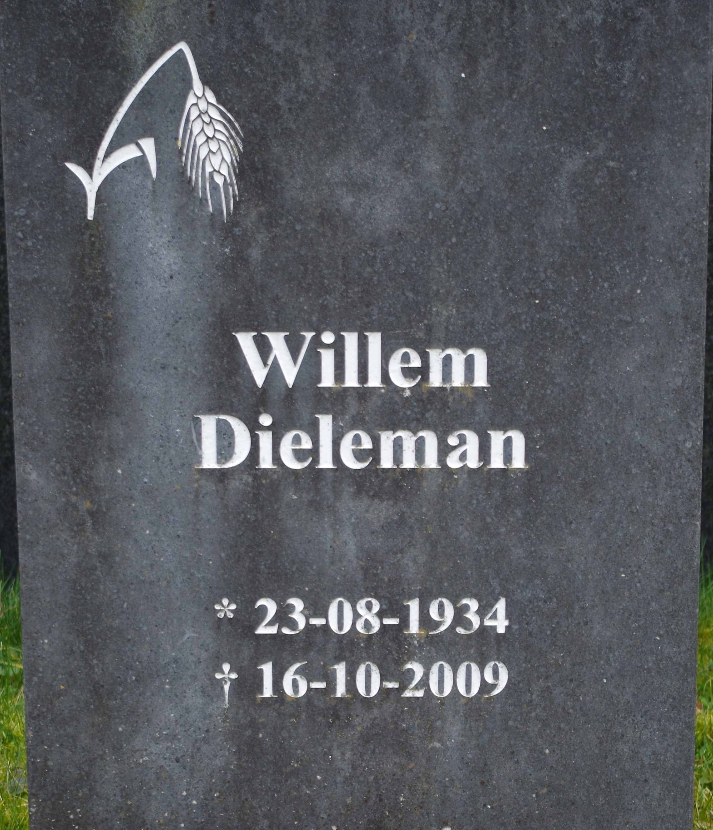 Willem Dieleman