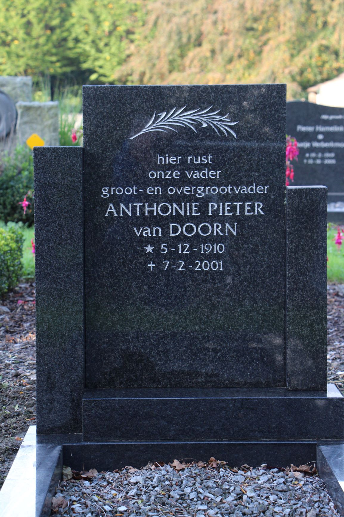 Anthonie Pieter van Doorn