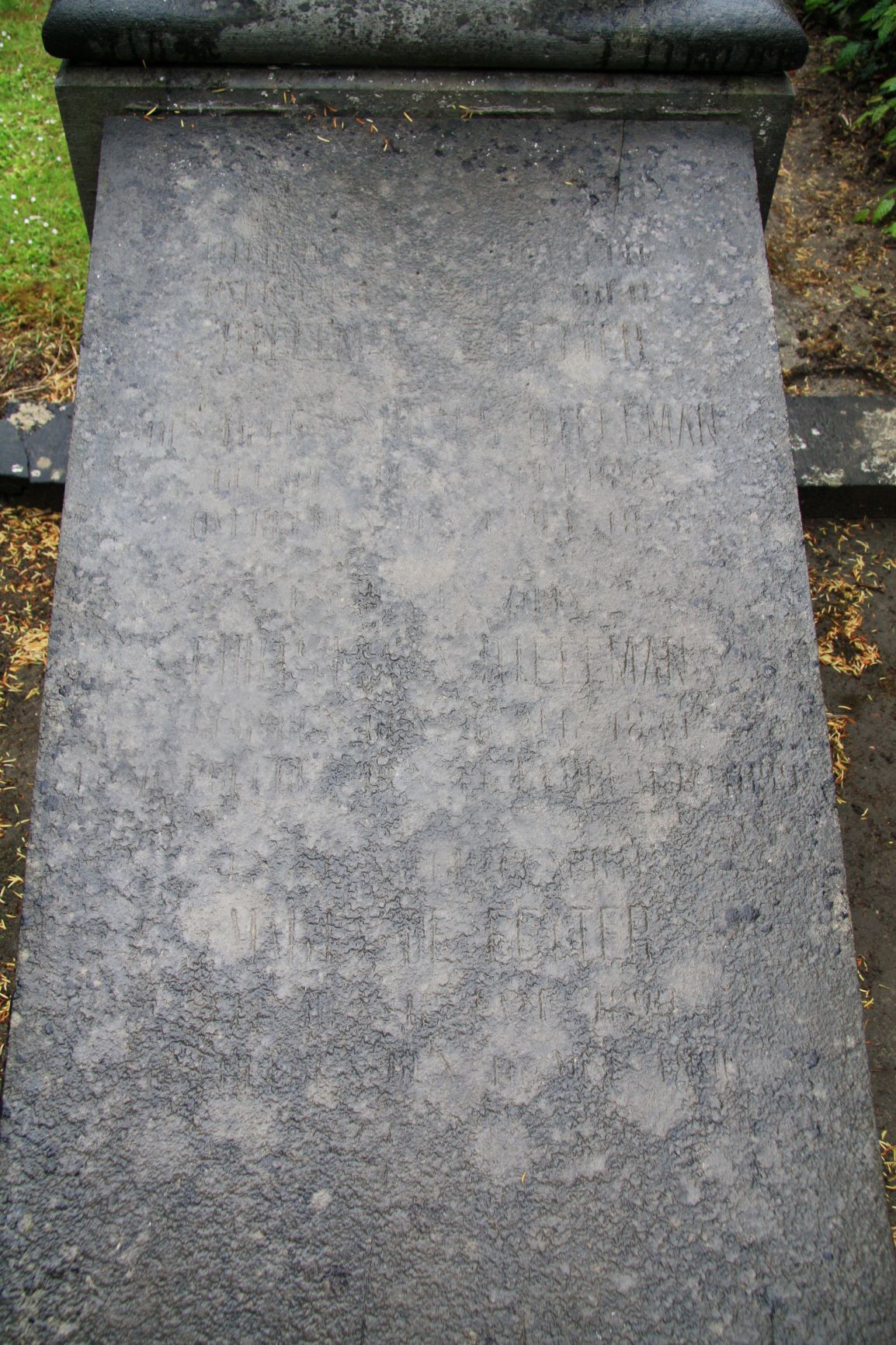 Christiaan Dieleman