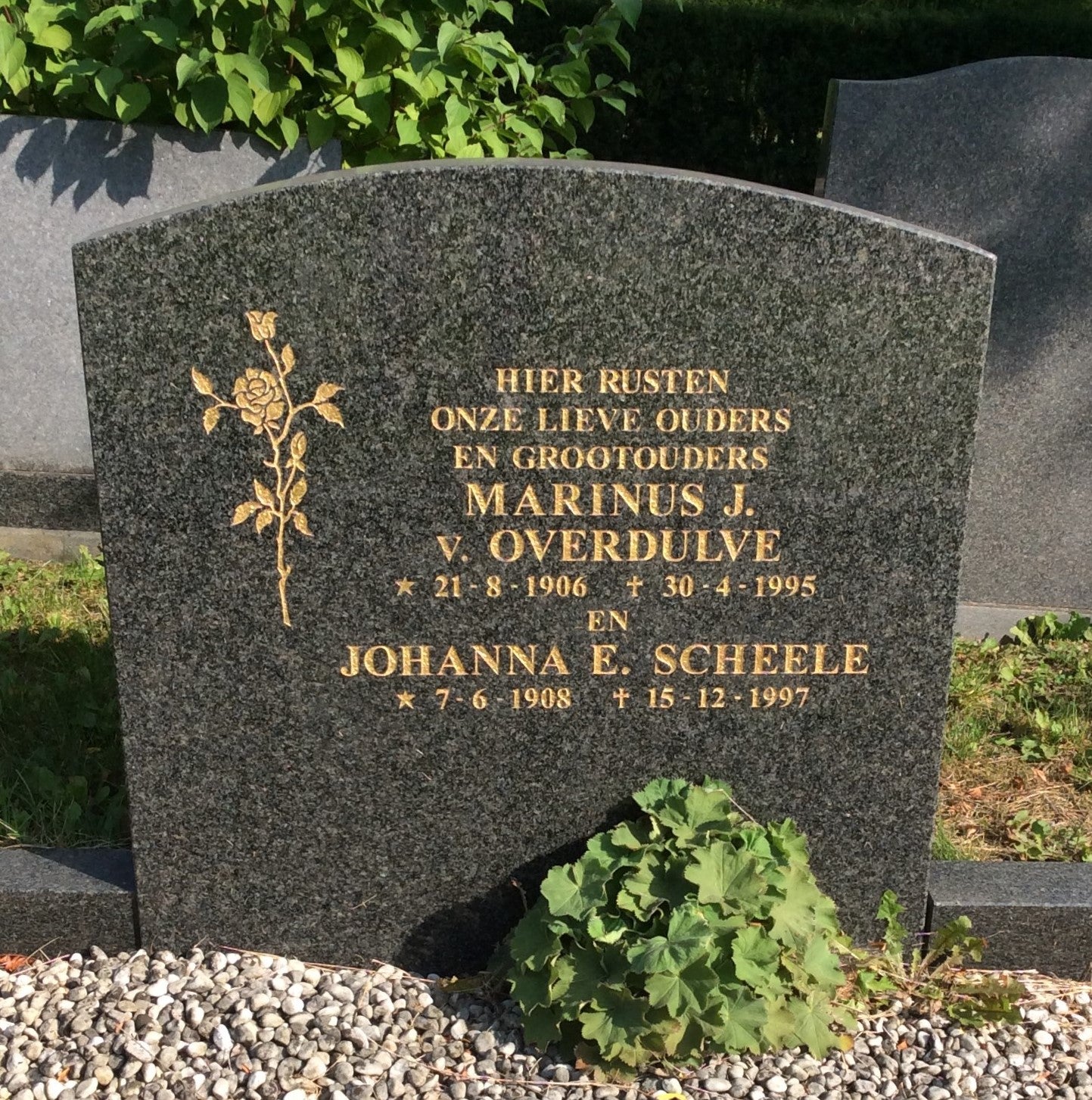 Johanna Elisabeth Scheele