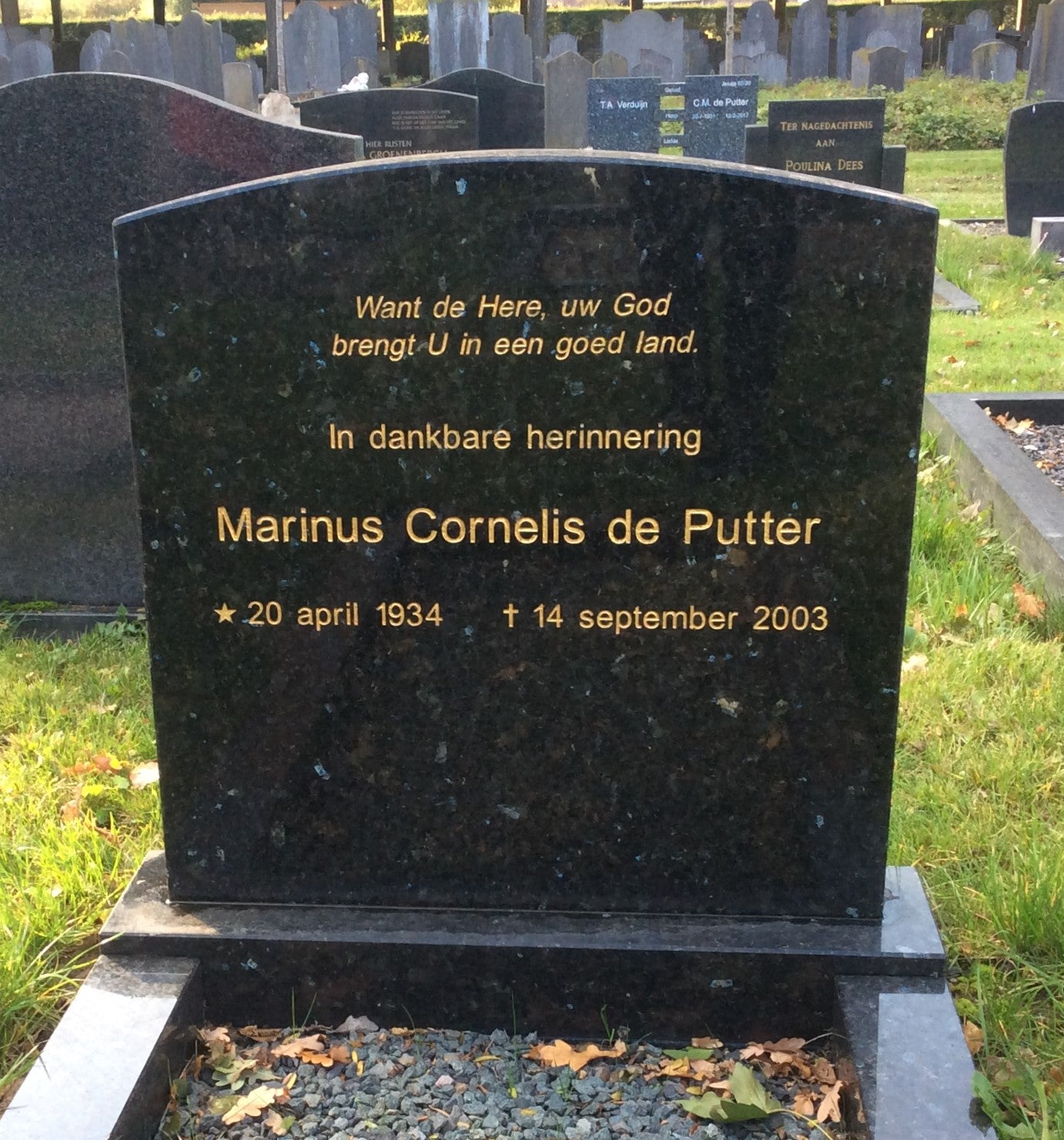 Marinus Cornelis de Putter