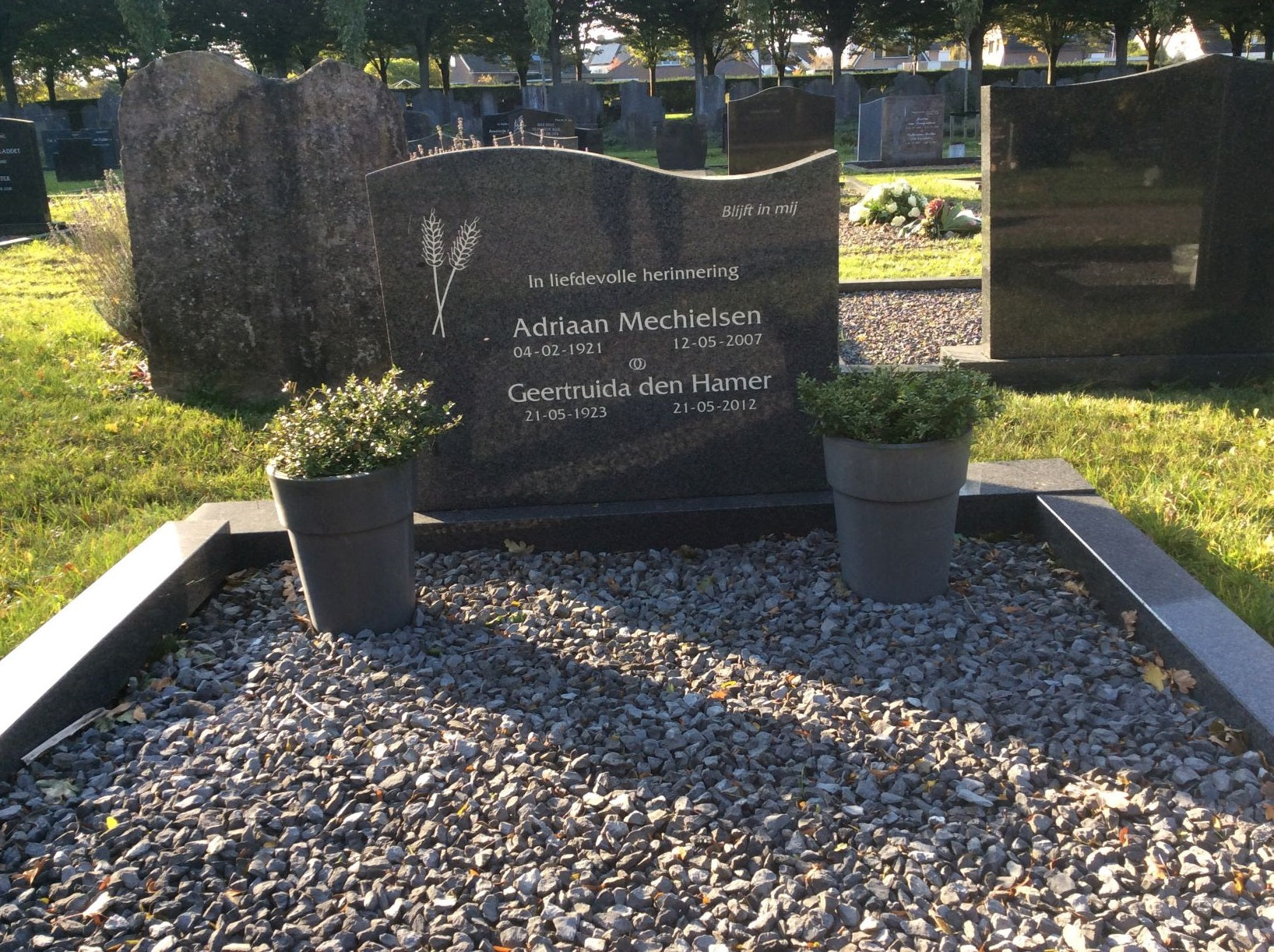 Adriaan Mechielsen