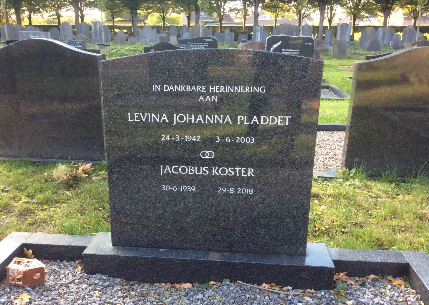 Levina Johanna Koster-Pladdet