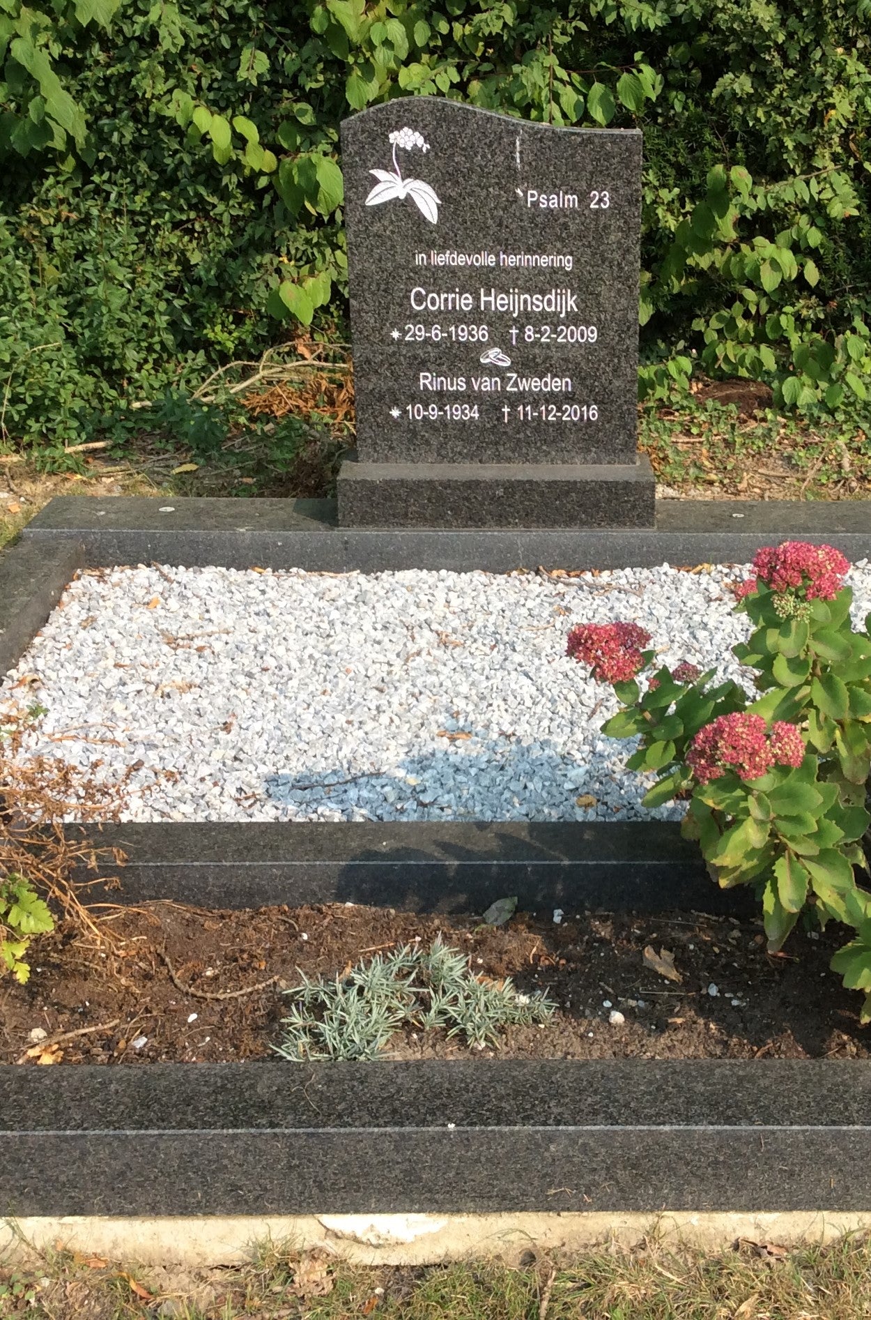 Cornelia van Zweden-Heijnsdijk