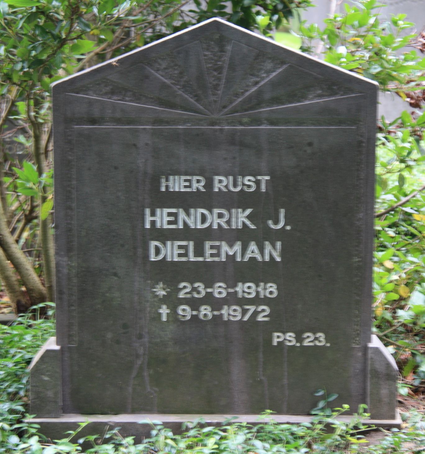Hendrik Jan Dieleman