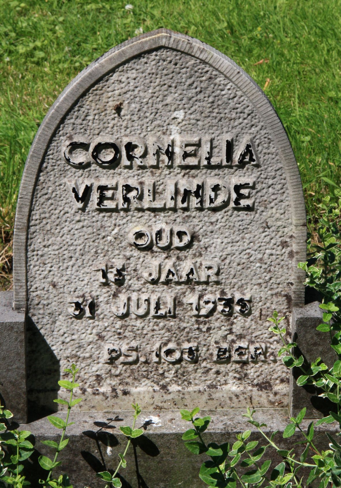 Cornelia Verlinde