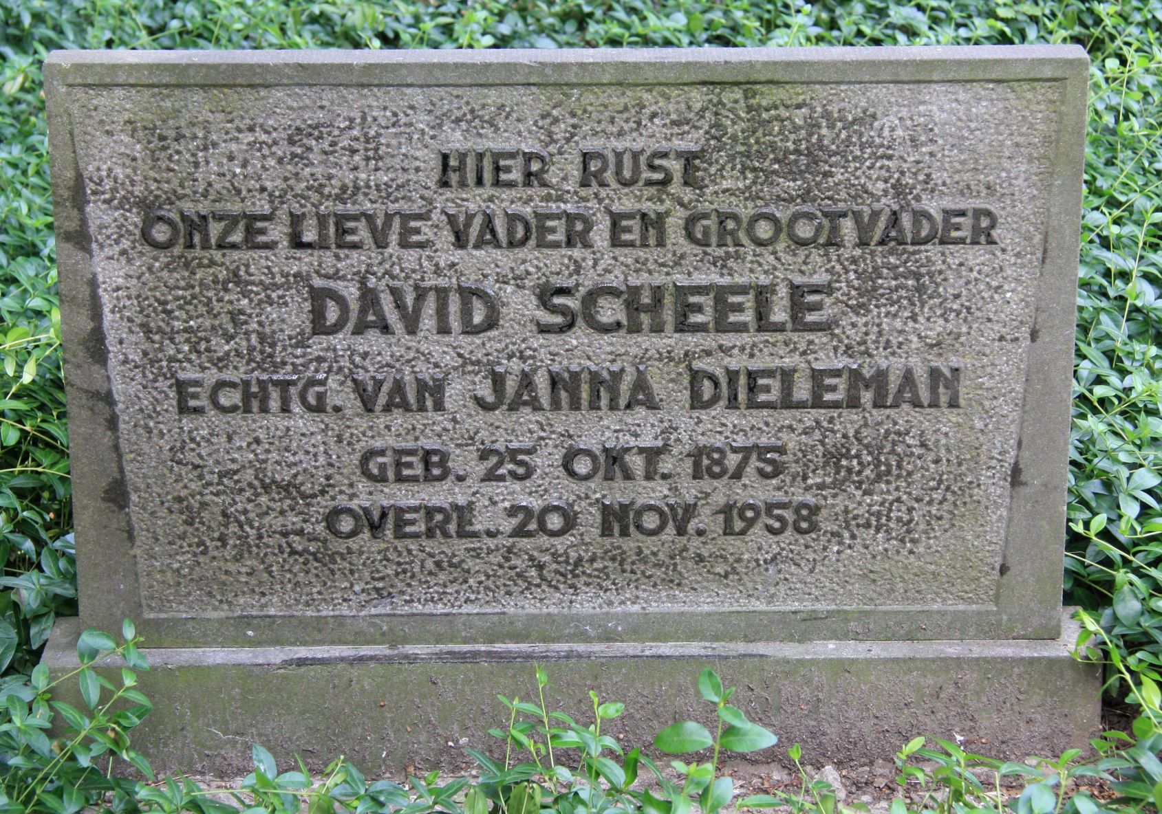 David Scheele