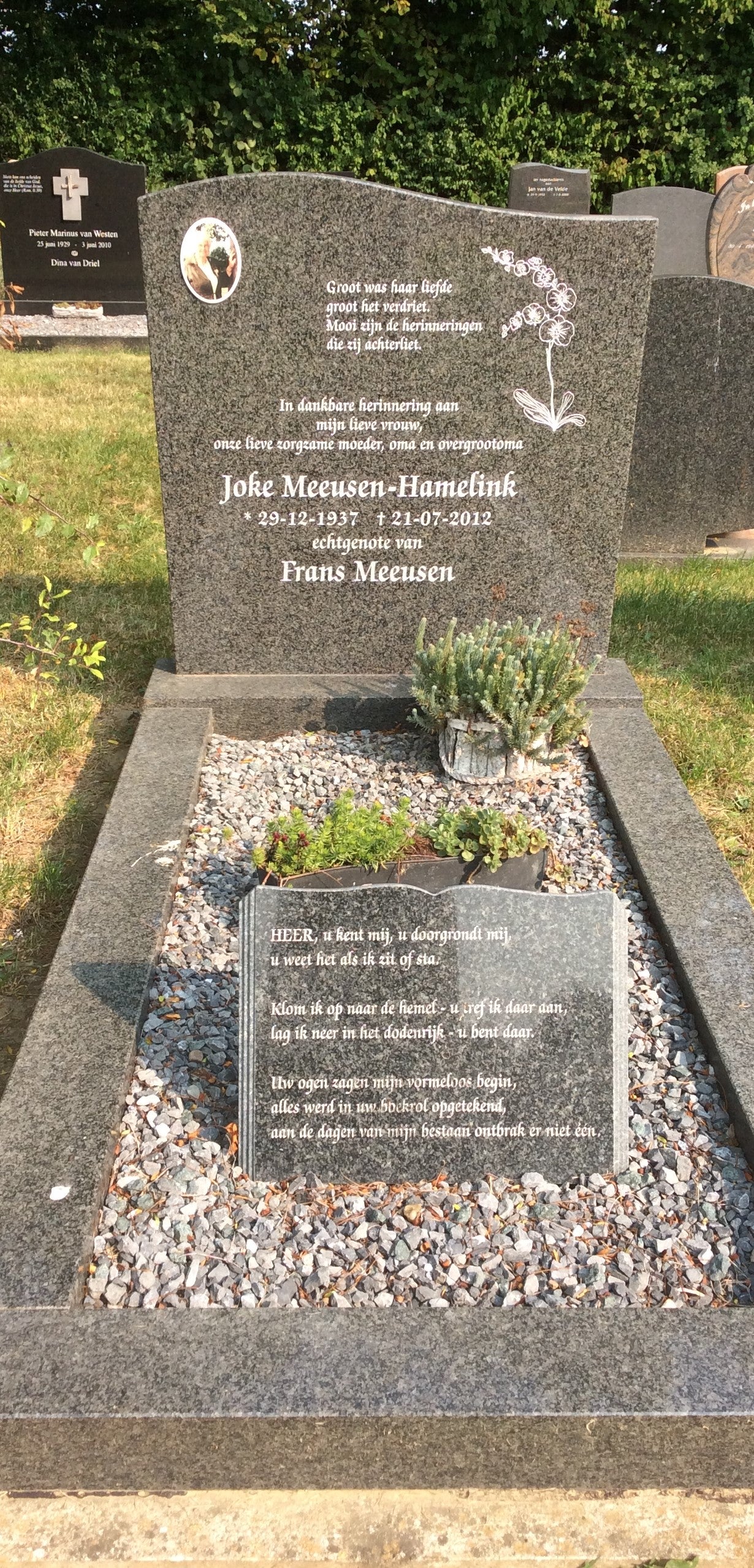 Johanna Anna Hamelink