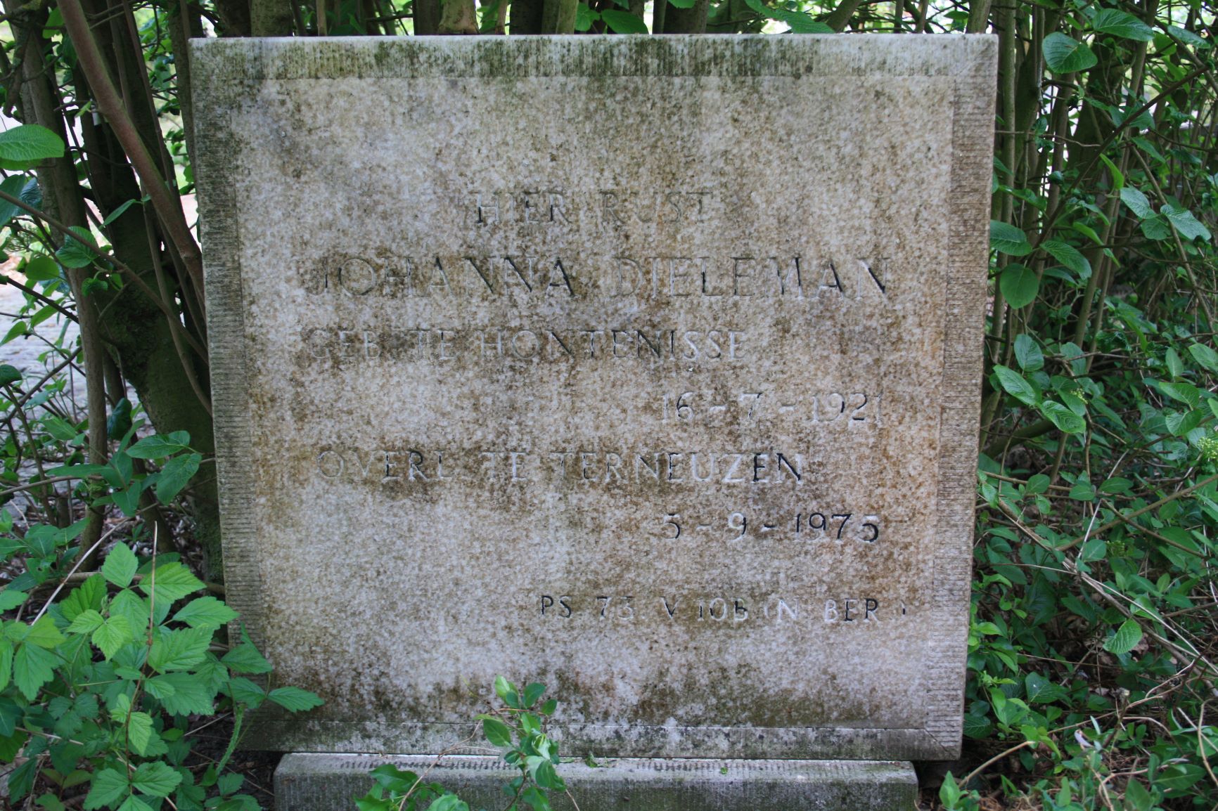 Johanna Dieleman