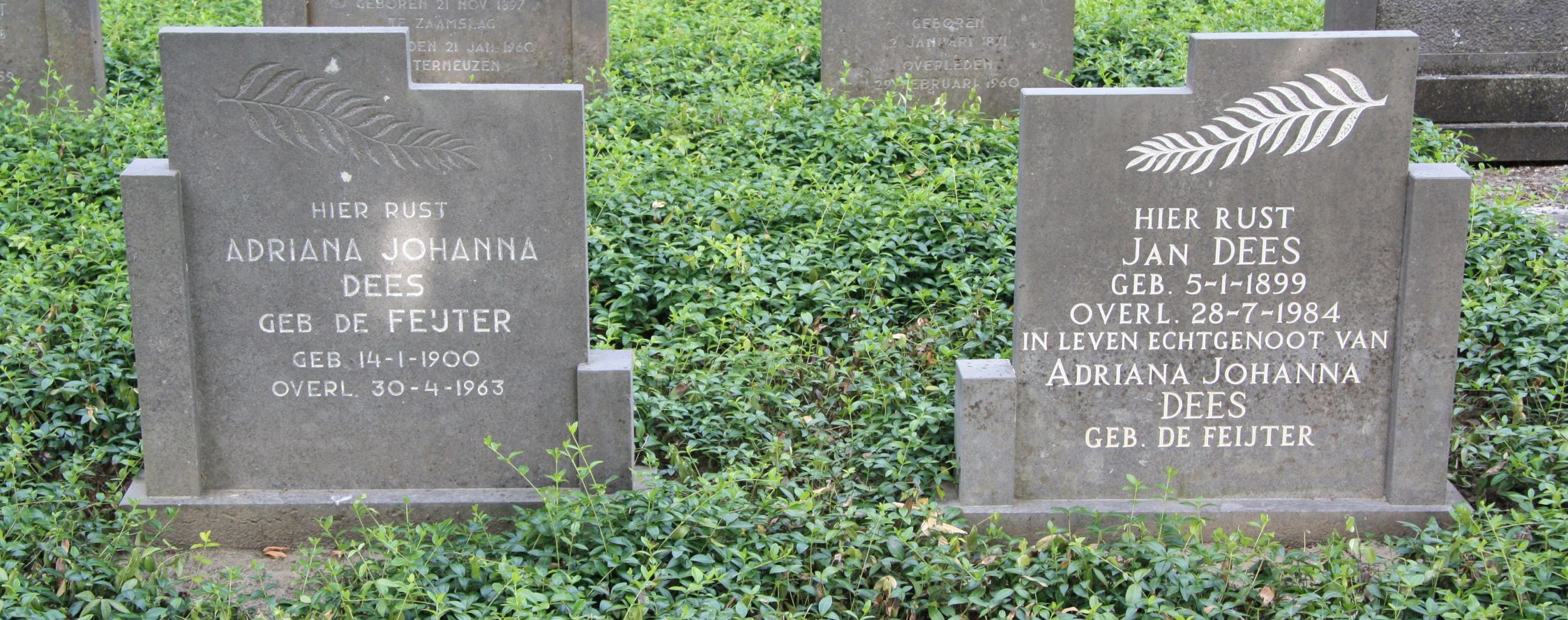 Adriana Johanna de Feijter