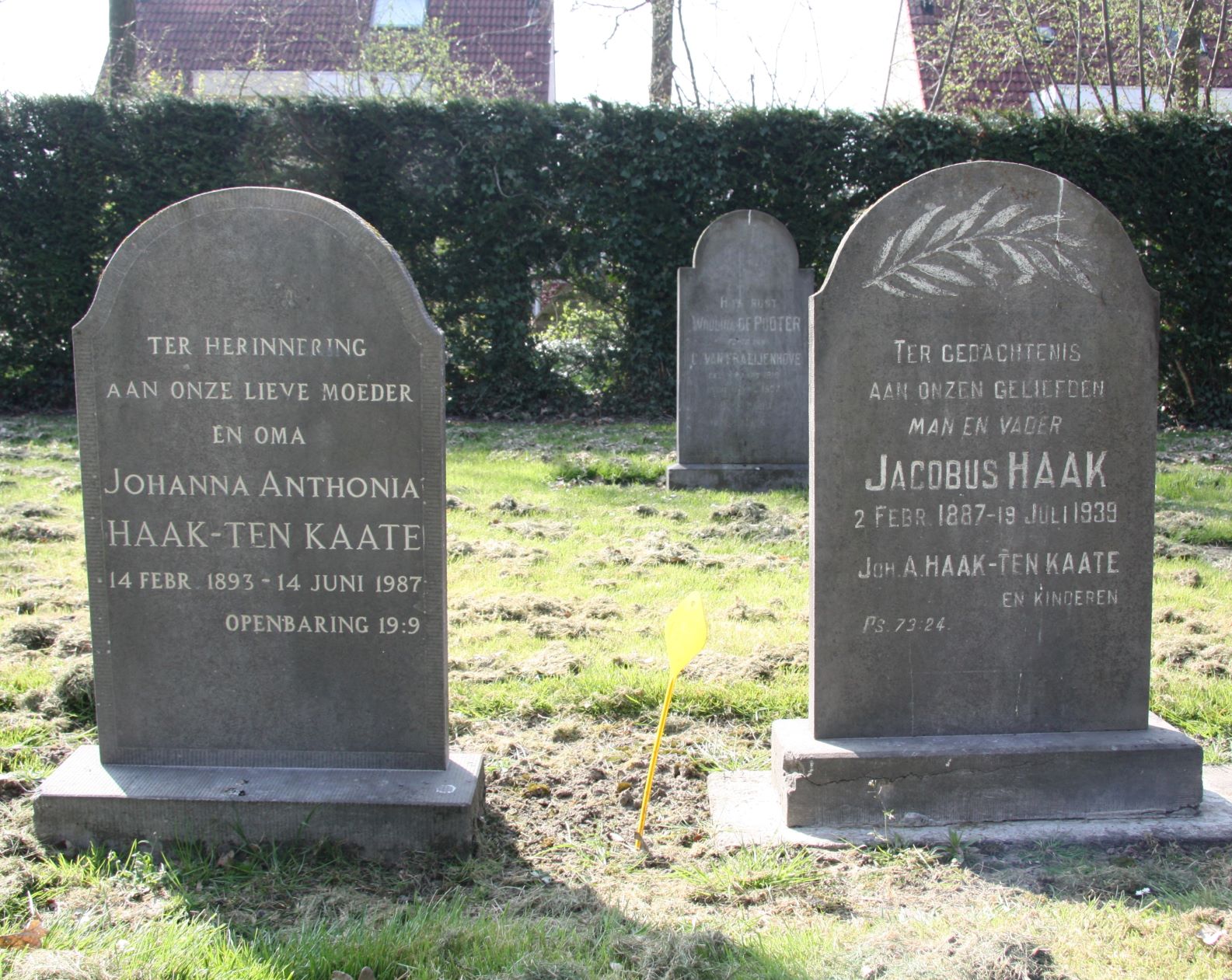 Jacobus Haak