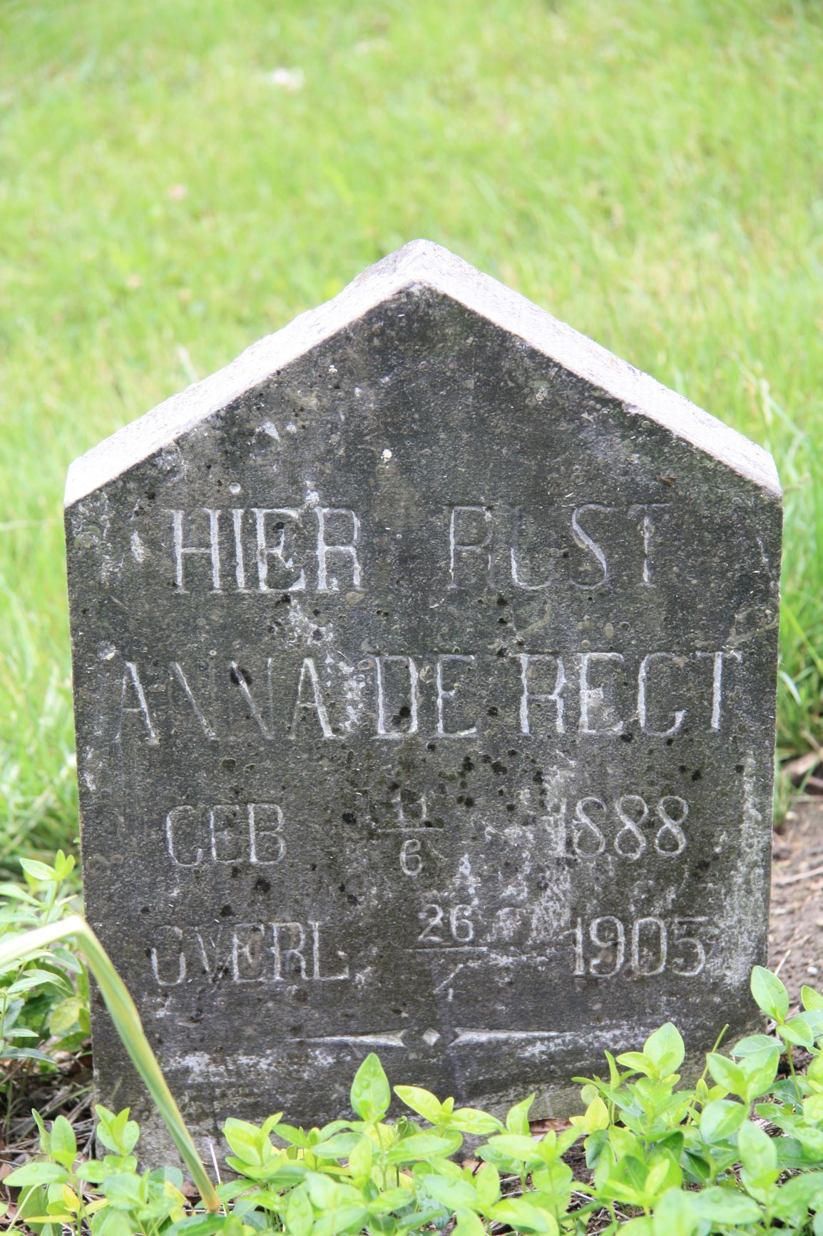 Anna de Regt