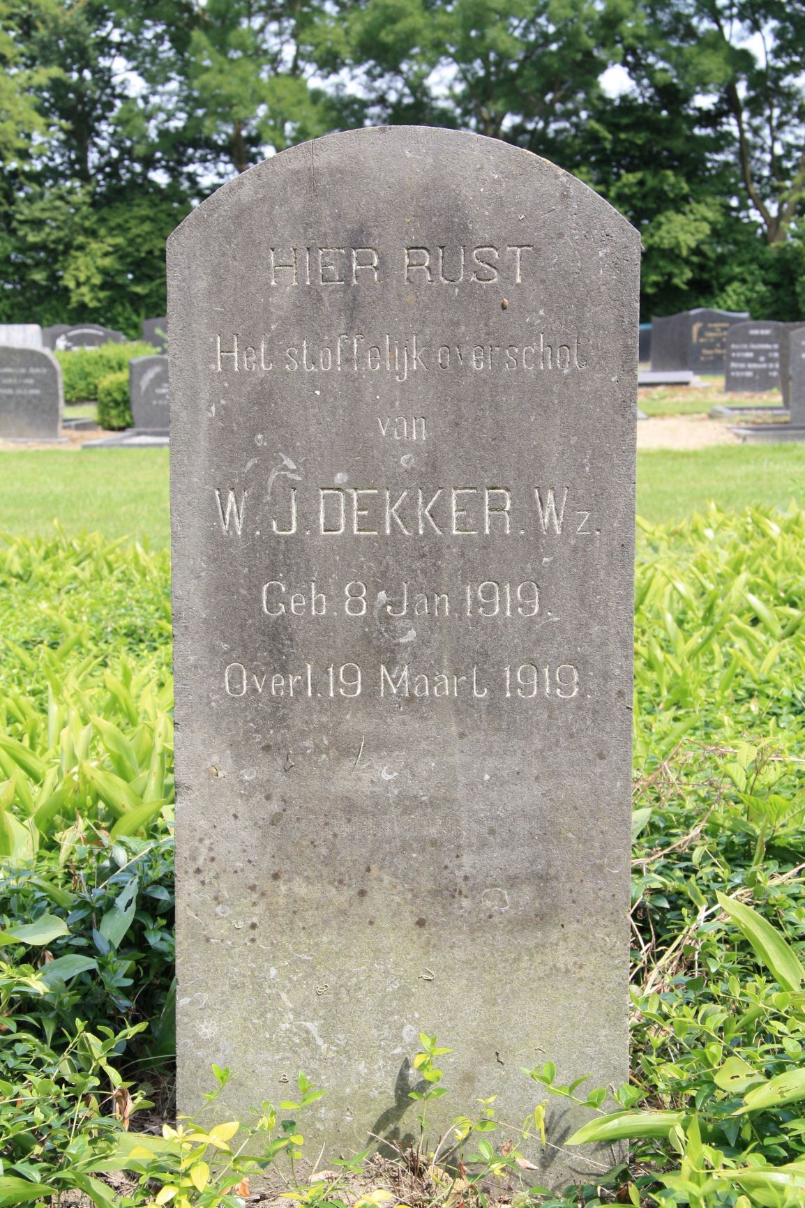 Willem Jan Dekker